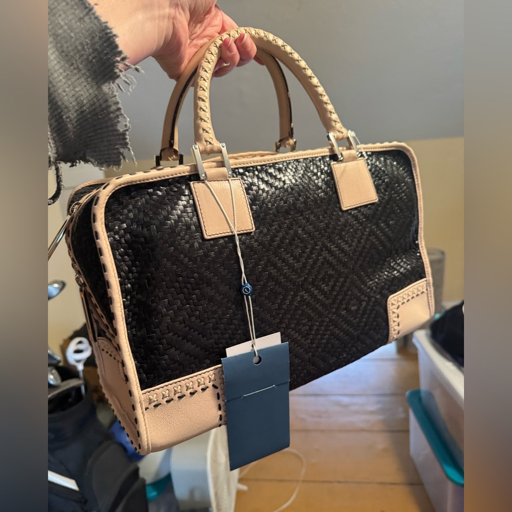 Loewe Woven Amazona Satchel - Picture 5 of 15